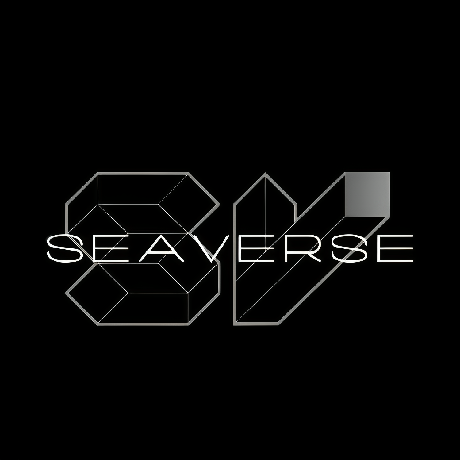 Seaverse Company Logo - Marine Technology Innovation